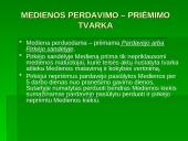 Teismai medienos prekybos srityje 6 puslapis