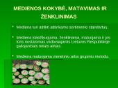 Teismai medienos prekybos srityje 7 puslapis