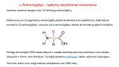 Aminorūgštys - skaidrės 3 puslapis