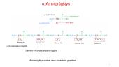 Aminorūgštys - skaidrės 5 puslapis