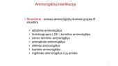 Aminorūgštys - skaidrės 6 puslapis