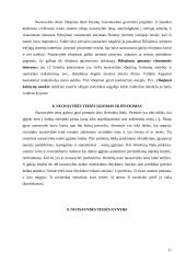 Daiktų samprata ir rūšys romėnų teisėje 11 puslapis