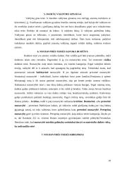 Daiktų samprata ir rūšys romėnų teisėje 10 puslapis