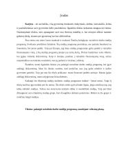 Asmeninės karjeros plano pristatymo aprašas 2 puslapis