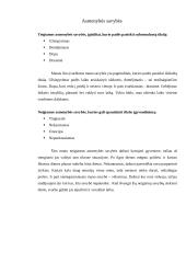 Asmeninės karjeros plano pristatymo aprašas 4 puslapis