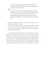 Bebrų poveikis aplinkai 12 puslapis