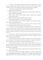 Bebrų poveikis aplinkai 3 puslapis