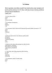 Dailės būrelio įsteigimas naudojant įprastines piešimo priemones ir informacines technologijas (IT) 16 puslapis