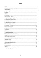 Dailės būrelio įsteigimas naudojant įprastines piešimo priemones ir informacines technologijas (IT) 3 puslapis