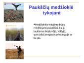 Medžioklė varant ar tykojant 11 puslapis