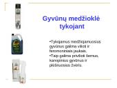 Medžioklė varant ar tykojant 12 puslapis