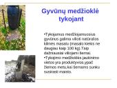 Medžioklė varant ar tykojant 13 puslapis