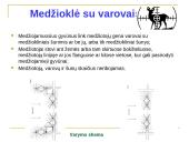 Medžioklė varant ar tykojant 3 puslapis