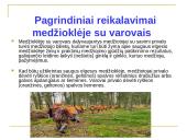 Medžioklė varant ar tykojant 4 puslapis