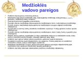 Medžioklė varant ar tykojant 6 puslapis