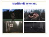 Medžioklė varant ar tykojant 8 puslapis