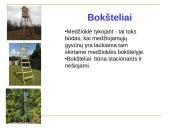 Medžioklė varant ar tykojant 9 puslapis