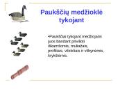 Medžioklė varant ar tykojant 10 puslapis