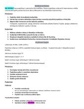 11 klasės istorijos konspektas 4 puslapis