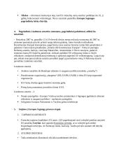 ES istorija, stojimas, pilietybė 3 puslapis