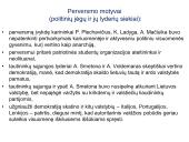 1926 m. perversmas ir autoritarinė Lietuva   11 puslapis