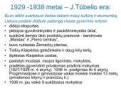 1926 m. perversmas ir autoritarinė Lietuva   17 puslapis