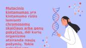 Genetinės medžiagos pokyčiai 2 puslapis