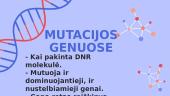 Genetinės medžiagos pokyčiai 15 puslapis
