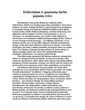 Darbo jėgos rinka 4 puslapis