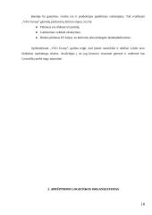 AB ,,Vilvi Group” gaminio ,,Prussia” logistinės grandinės analizė 17 puslapis