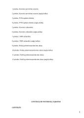 AB ,,Vilvi Group” gaminio ,,Prussia” logistinės grandinės analizė 2 puslapis