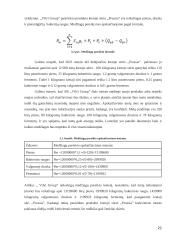 AB ,,Vilvi Group” gaminio ,,Prussia” logistinės grandinės analizė 20 puslapis