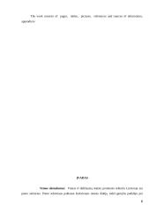 AB ,,Vilvi Group” gaminio ,,Prussia” logistinės grandinės analizė 5 puslapis