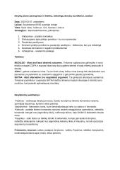 UAB ,,Katik nuo tralo” derybos su Lenkijos gamyklos “POLCAR” atstovais dėl transporto kainos ir krovinių kiekio 2 puslapis