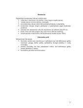 Darbo kabineto įrengimas projektuojant kompiuterizuotas darbo vietas 11 puslapis