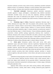 Darbo kodeksas — pagrindinis darbo teisės šaltinis 11 puslapis