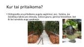 Hidroponika 4 puslapis