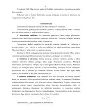 Darbo laikas ir vadovavimo stiliai 4 puslapis