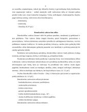 Darbo laikas ir vadovavimo stiliai 9 puslapis