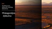 Dykumos 8 puslapis