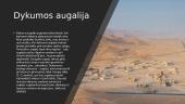 Dykumos 9 puslapis