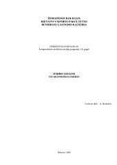 Darbo saugos savarankiškas darbas
