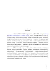 Darbo saugos savarankiškas darbas 17 puslapis