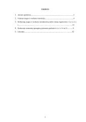 Darbo saugos projektas 2 puslapis