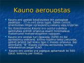 Oro transportas. Skaidrės 15 puslapis