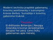 Oro transportas. Skaidrės 8 puslapis