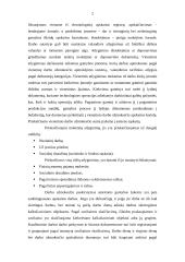 Darbo užmokesčio apskaita 2 puslapis