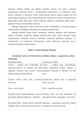 Dalykiniai stiliai 2 puslapis