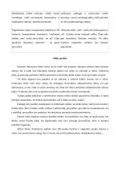 Dalykiniai stiliai 3 puslapis