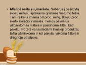 Tešlų rūšys ir jų gaminiai  11 puslapis